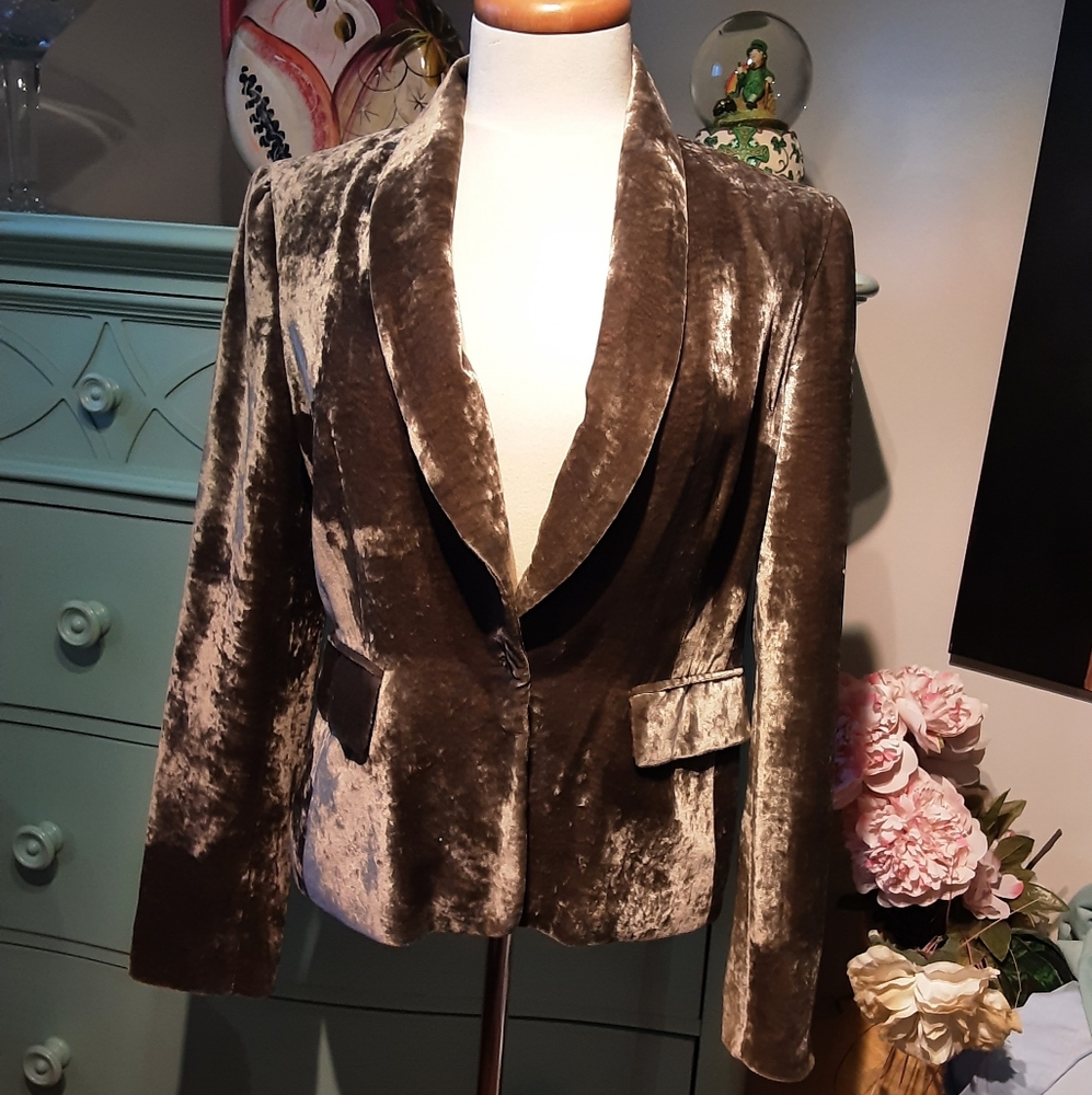 MARELLA Metallic Velvet Blazer